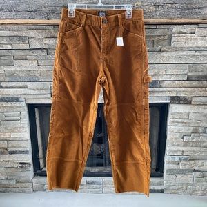 Urban Outfitters Brown Corduroy Pants